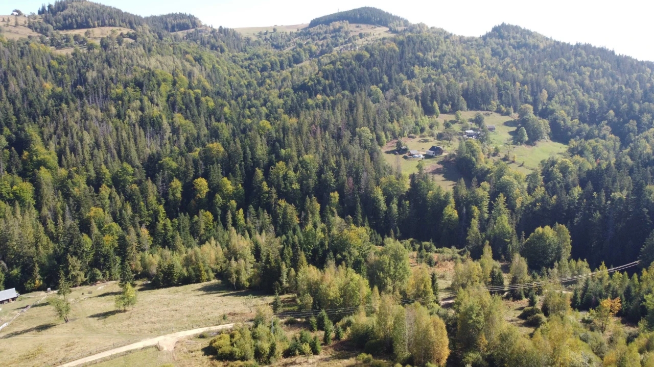 Продається ділянка 1 га. Косів. Краєвид. Гори. Карпати. Елек
