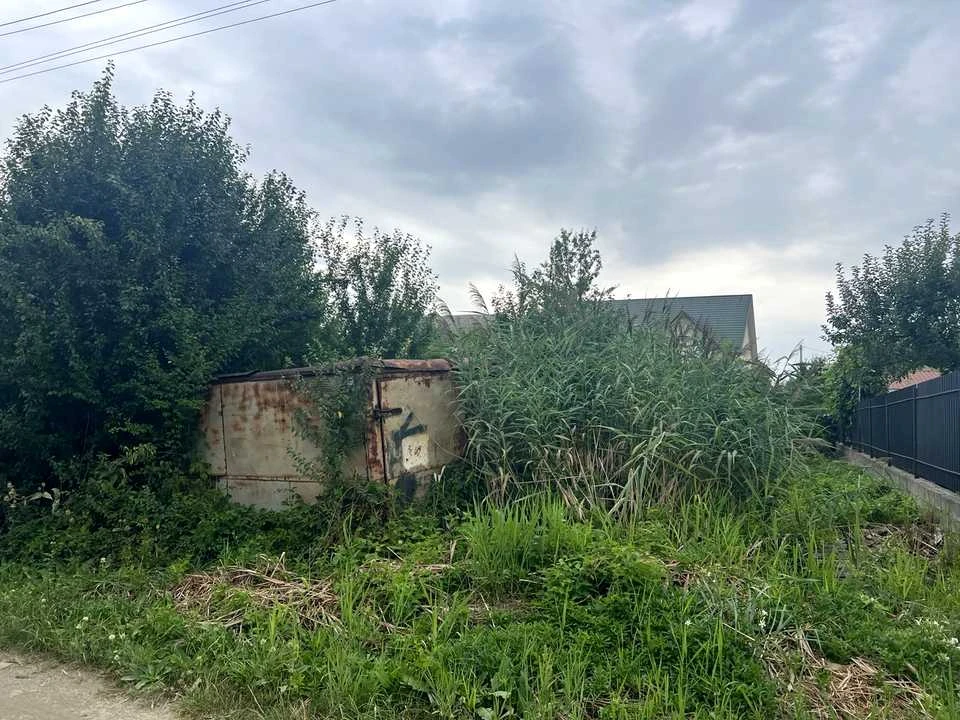 Ділянка. Надвірна, Польова