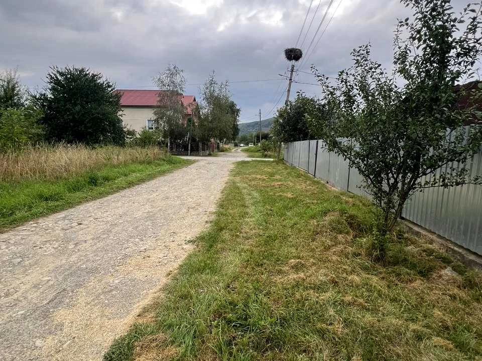 Ділянка. Надвірна, Польова