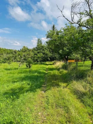Продаж земельної ділянки, Косів, вул.Павлика, 17 сот,  БЕЗ К