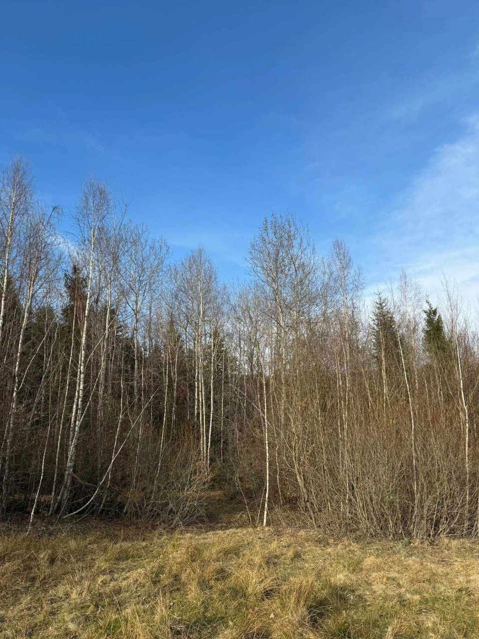 Продаж земельної ділянки, Косів, вул.Павлика, 17 сот,  БЕЗ К