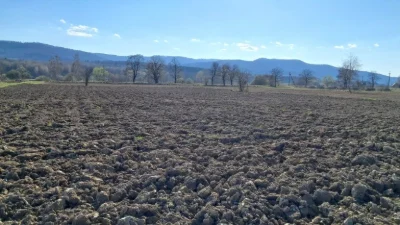 Земельна ділянка під забудову у м. Косів. 15 сот.