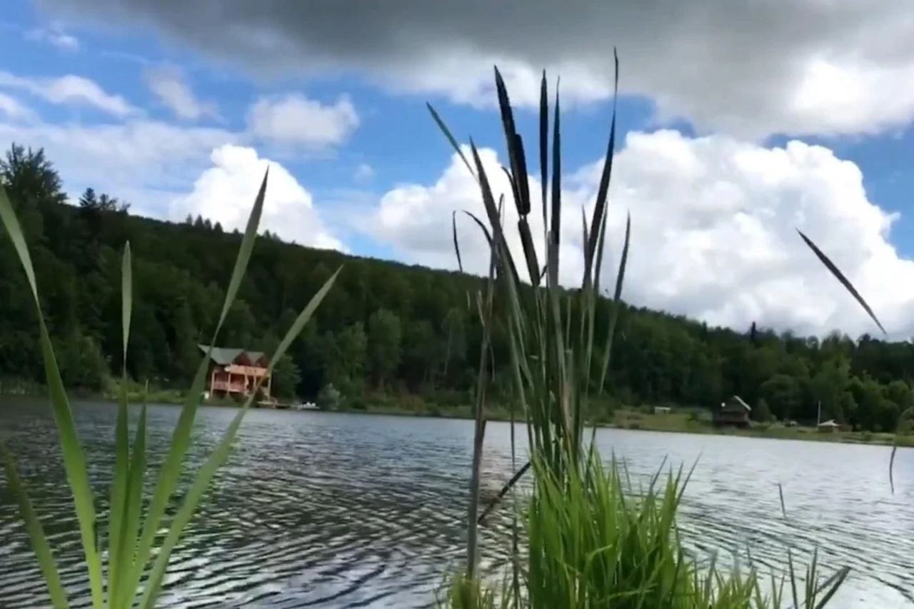 Ексклюзивна земельна ділянка у Карпатах, Яблунів, Косів, озе
