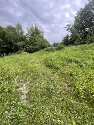Земельна ділянка в лісі