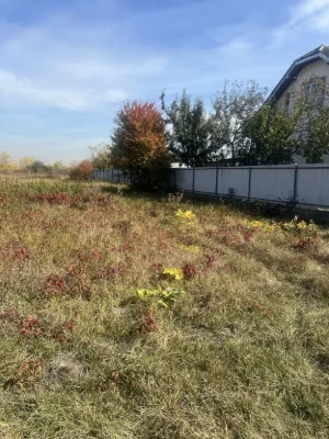 Продам земельну ділянку в селі  Підлісся