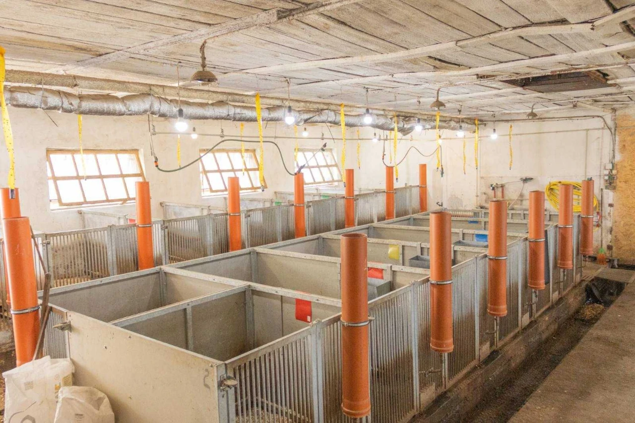 Продаж ферми з підсобними приміщеннями