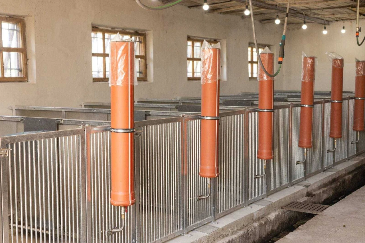 Продаж ферми з підсобними приміщеннями