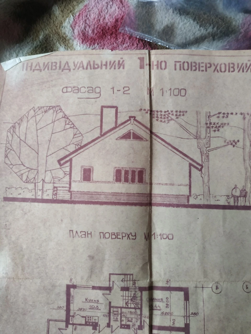 Земельна ділянка