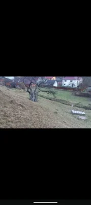 Продається Земельна ділянка Яремче (Дора)