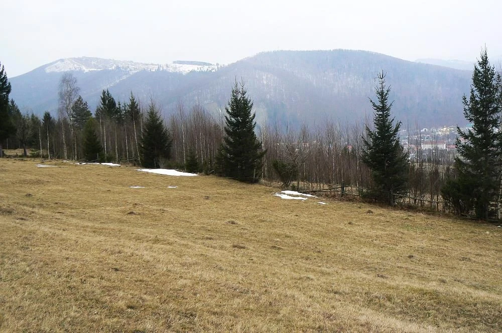 Продається земельна ділянка. Яремче. Ціна договірна