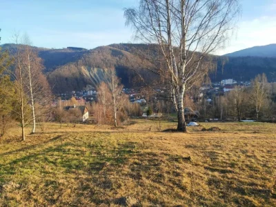 Продаж землі Яремче, Карпати
