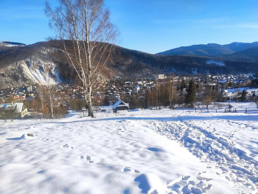 Продаж землі Яремче, Карпати
