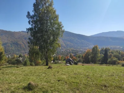 Продаж землі Яремче, Карпати