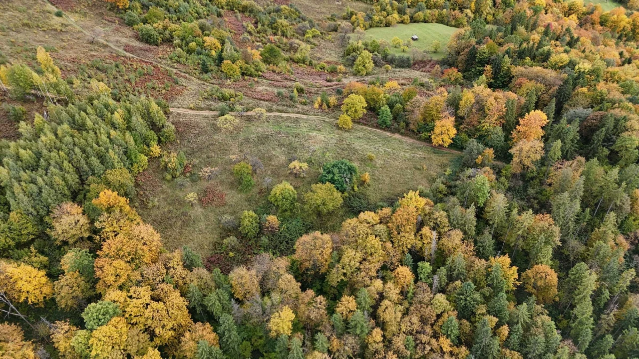Земельна ділянка в Яремче 0.76 га