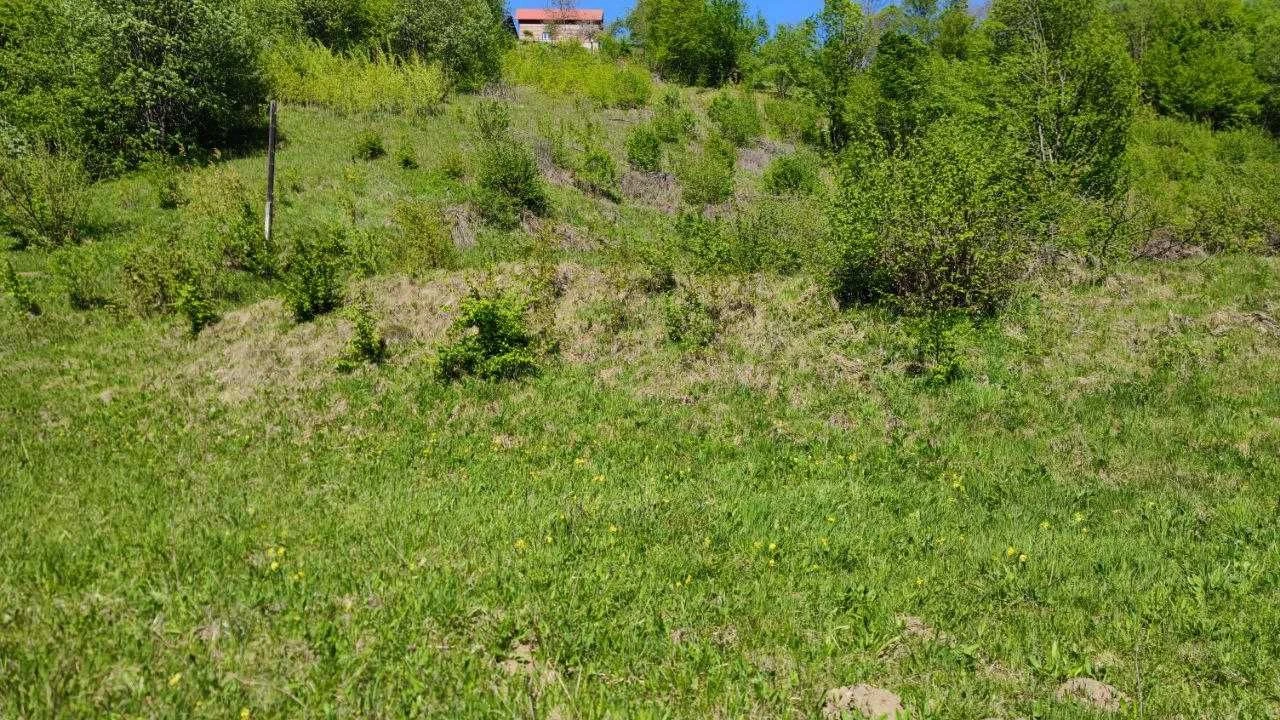 Земельна ділянка в Яремче (Дора) 0.28 га