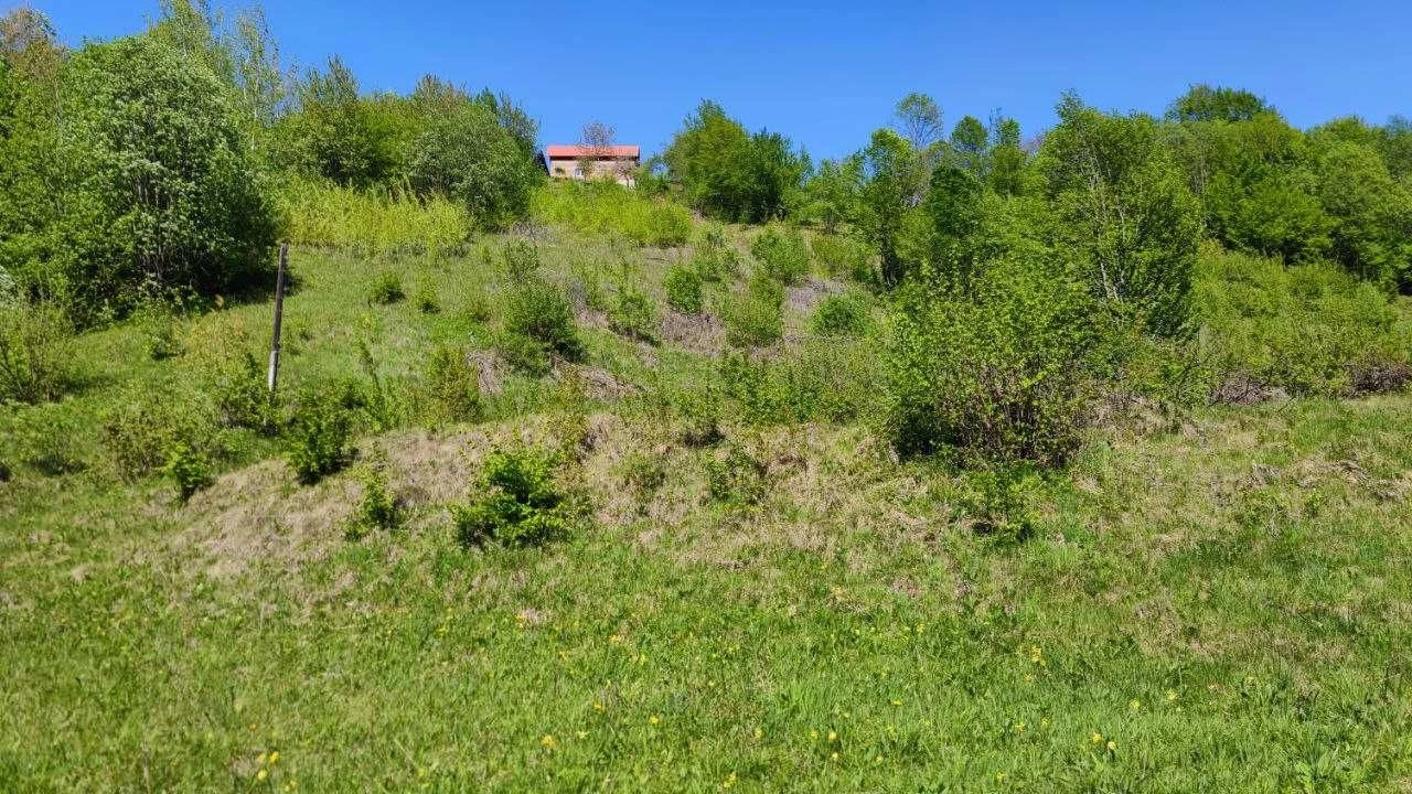 Земельна ділянка в Яремче (Дора) 0.28 га