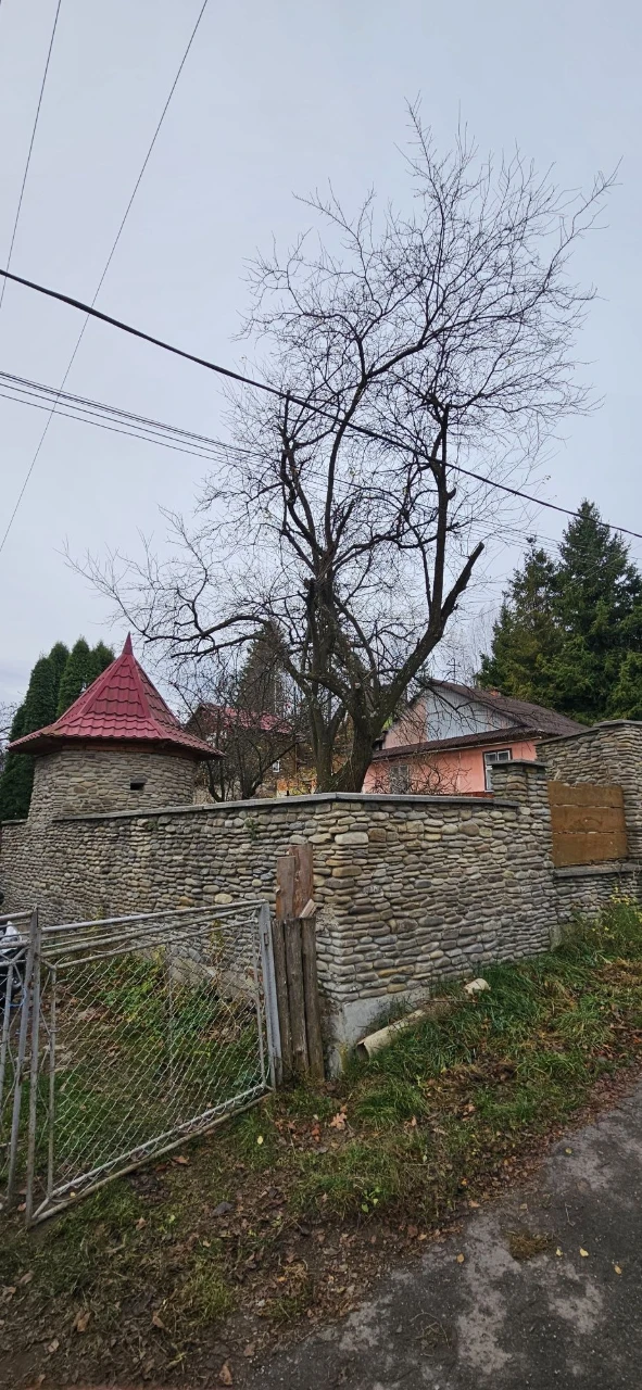 ділянка  з будинком  Яремче Центр