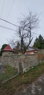 ділянка  з будинком  Яремче Центр