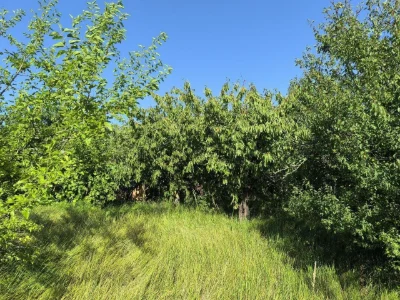 Продаж земельної ділянки