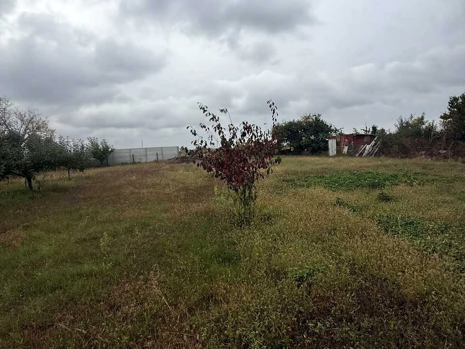 Ділянка. Біла Церква, Польова вул.