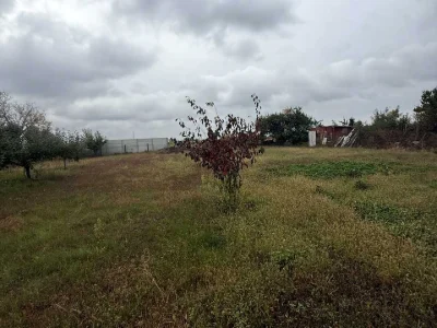 Ділянка. Біла Церква, Польова вул.