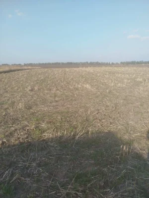 Продам участок в селі Трушки