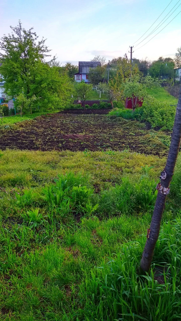 Власник Продам дачу  с. Мала Вільшанка