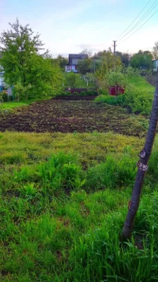Власник Продам дачу  с. Мала Вільшанка