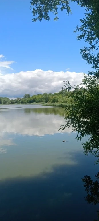 Продам водойму 4,05га