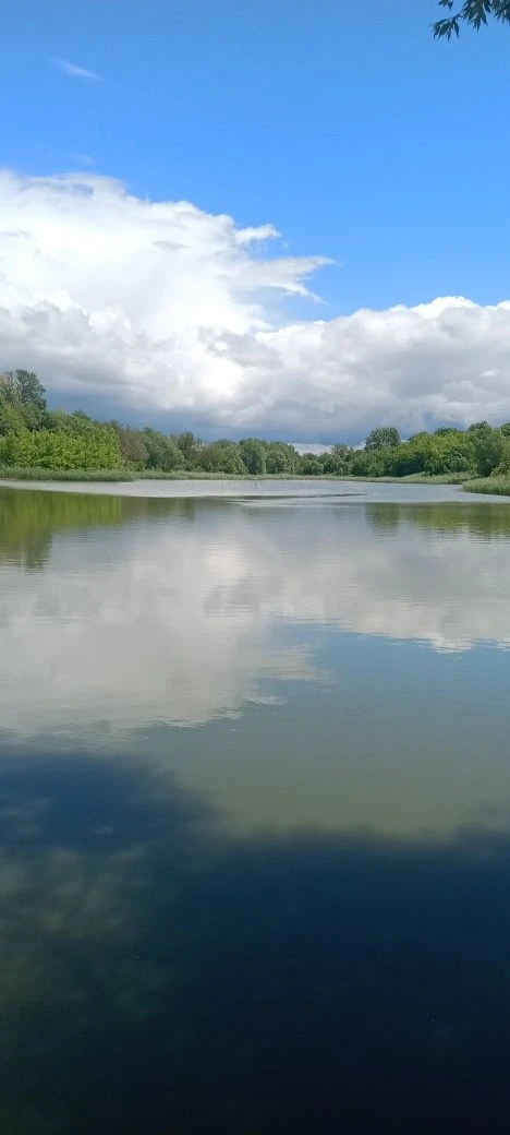 Продам водойму 4,05га