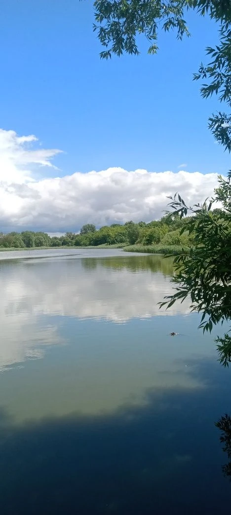 Продам водойму 4,05га