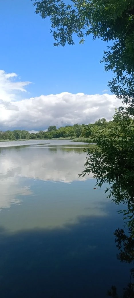Продам водойму 4,05га