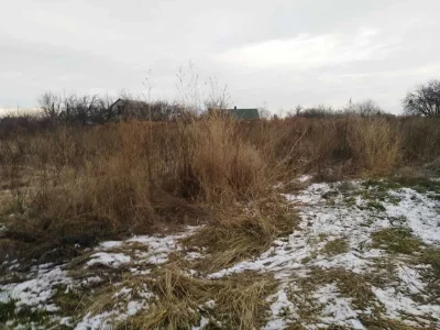 Земельна ділянка по вул. Толстого (поруч дорога на Терезине