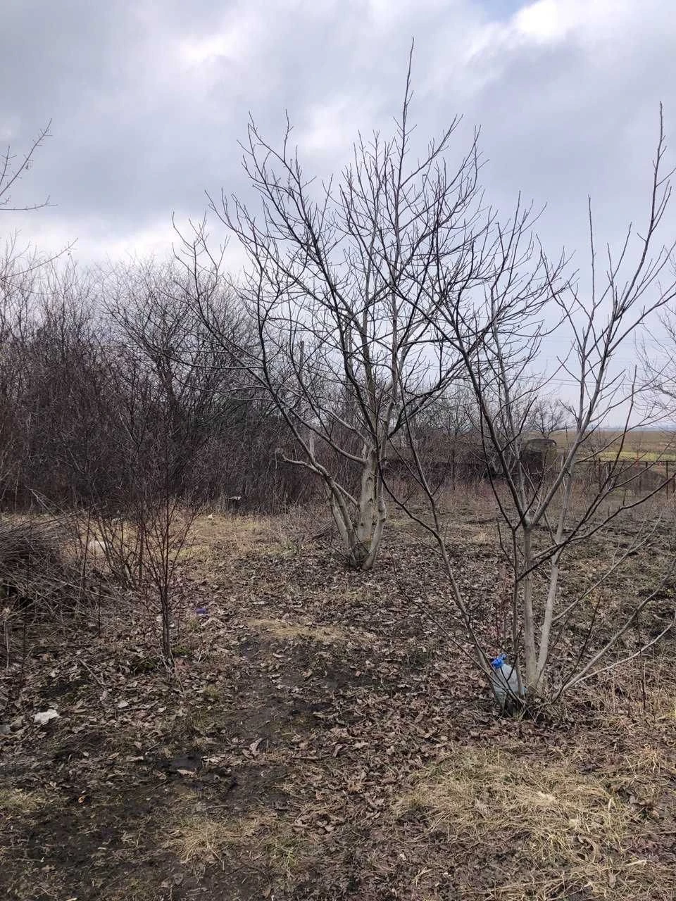 Продаємо дачну земельну ділянку, поруч дорога на Терезине (6