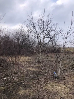 Продаємо дачну земельну ділянку, поруч дорога на Терезине (6