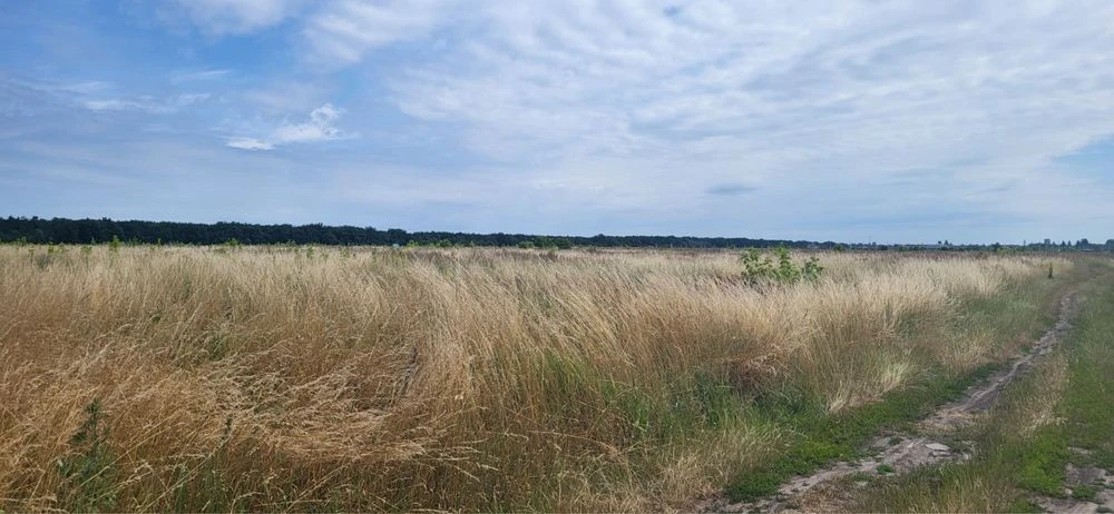 Земельна ділянка 10 соток Військбуд