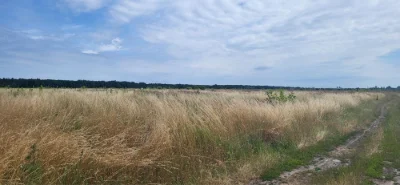Земельна ділянка 10 соток Військбуд