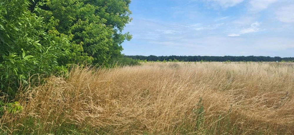 Земельна ділянка 10 соток Військбуд