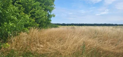 Земельна ділянка 10 соток Військбуд
