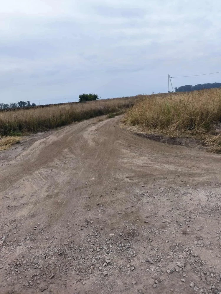 Продам земельну ділянку. Таращанський масив. Царське село.