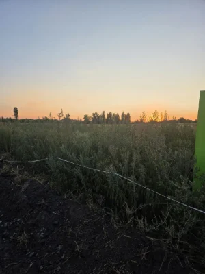 Продаж земельної ділянки на масиві. Летра.Газ