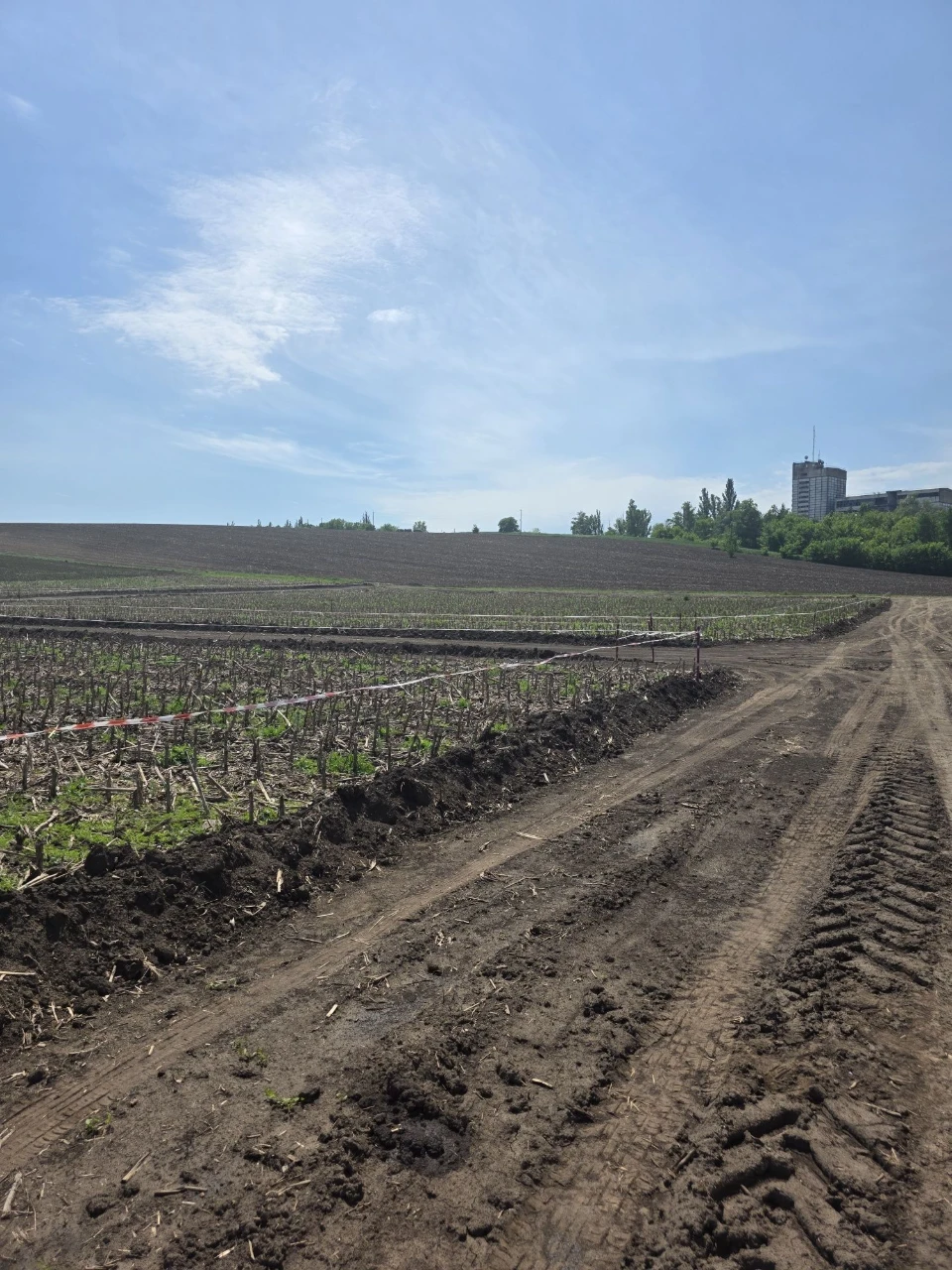Продаж земельної ділянки на масиві. Летра.Газ
