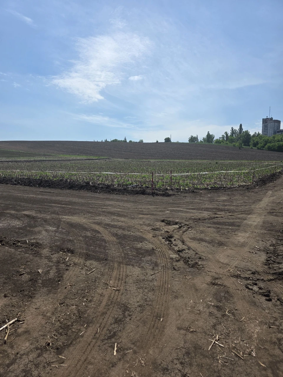 Продаж земельної ділянки на масиві. Летра.Газ