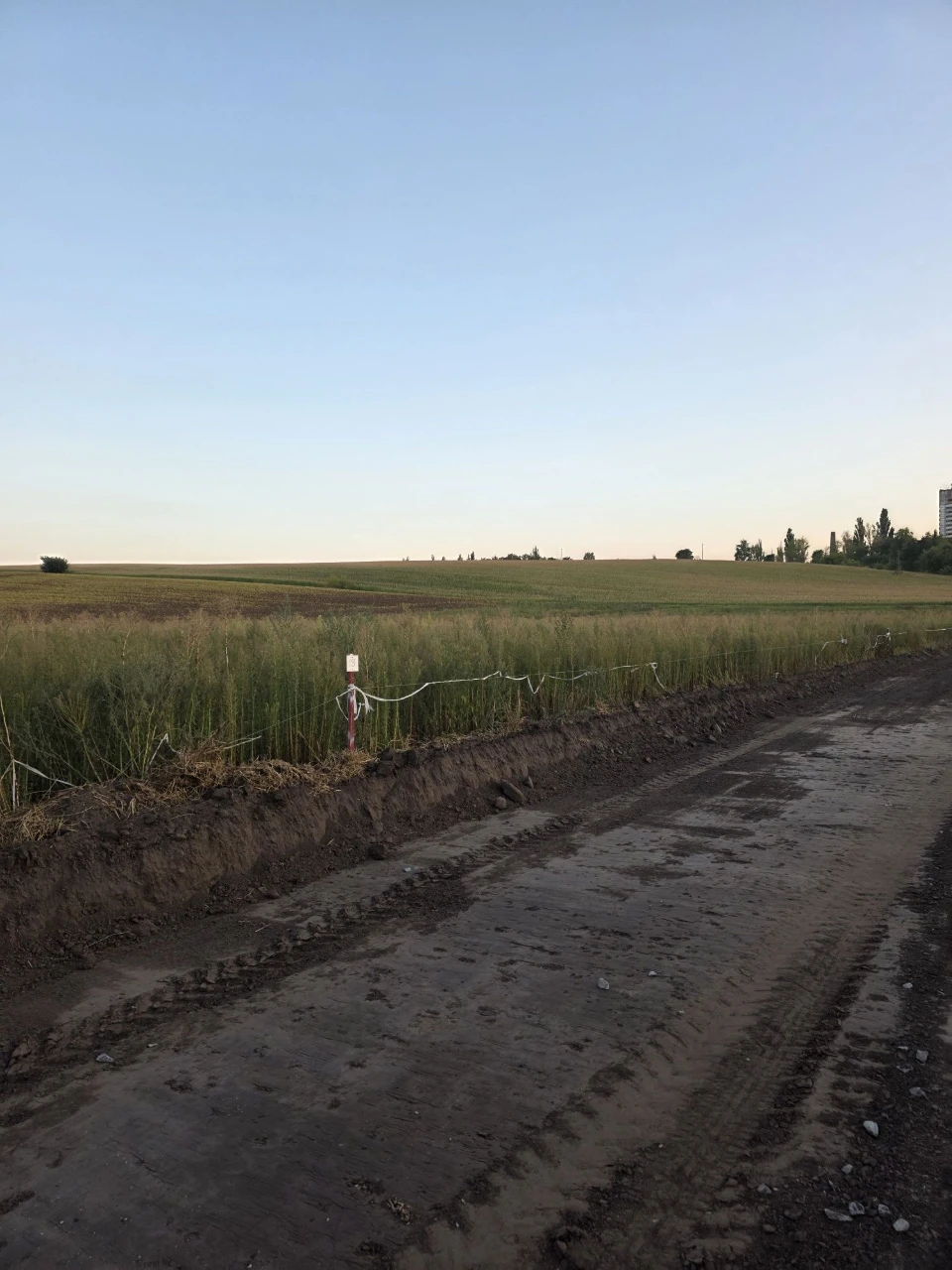 Продаж земельної ділянки на масиві. Летра.Газ