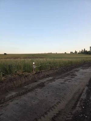 Продаж земельної ділянки на масиві. Летра.Газ