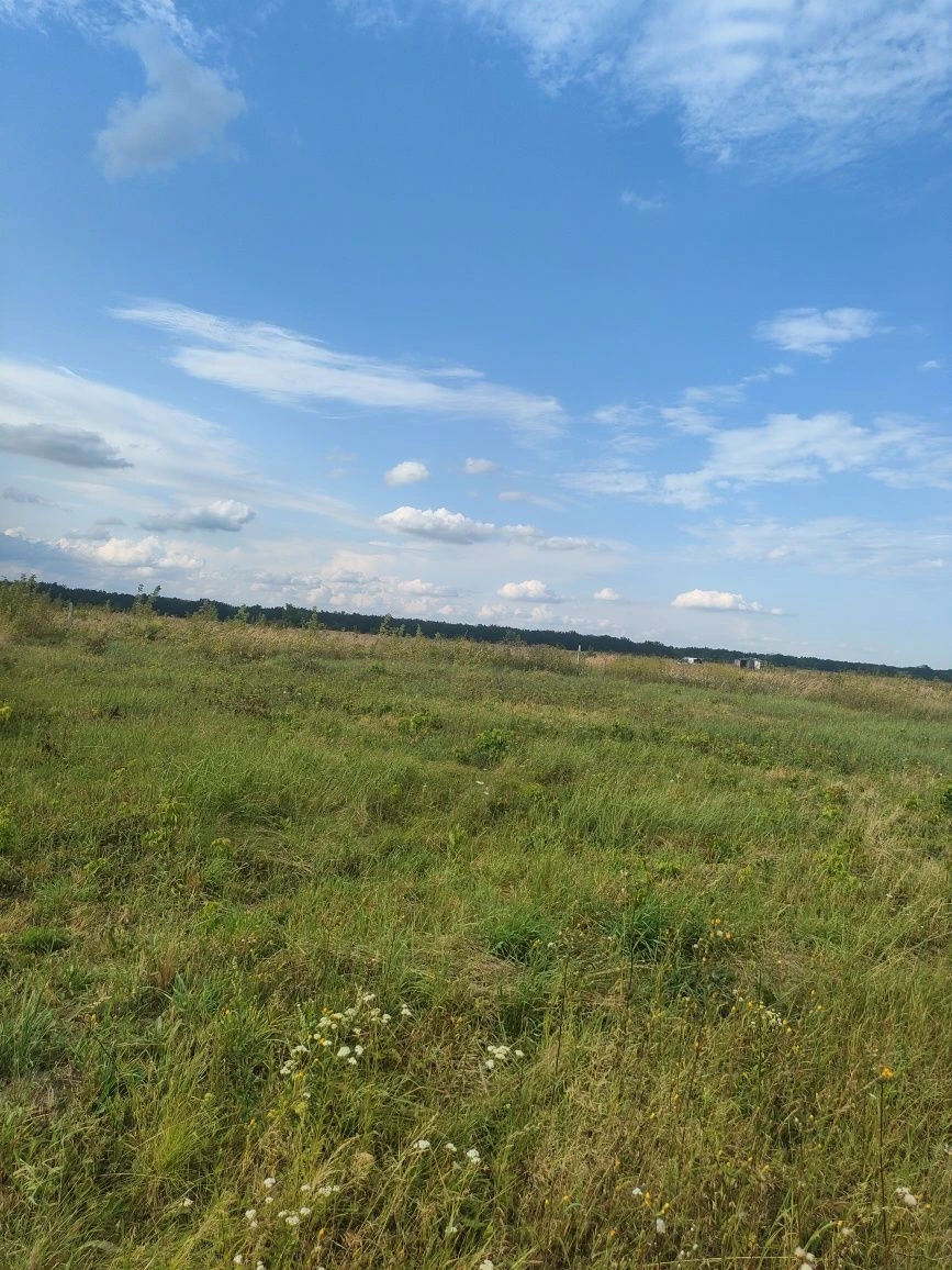 Земельна ділянка від власника