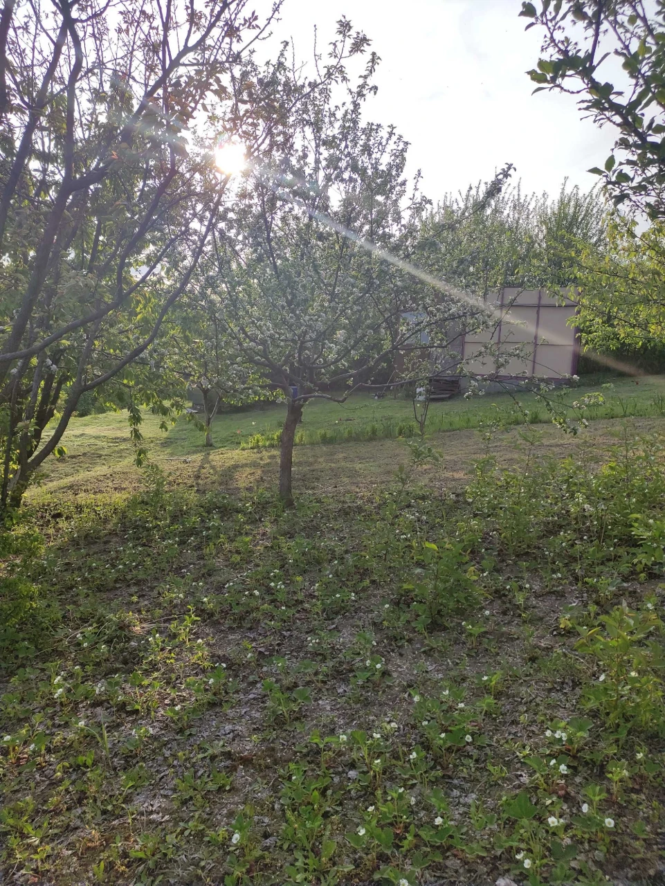 Продам дачну ділянку