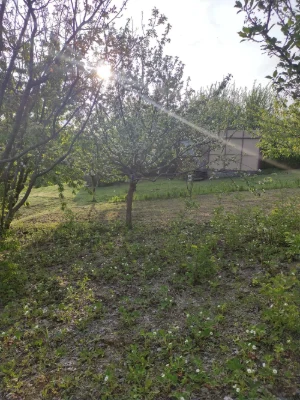 Продам дачну ділянку