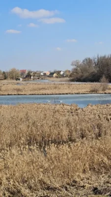 Продаж ділянки Фурси