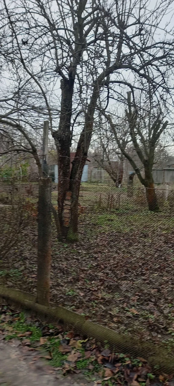 Земельна ділянка